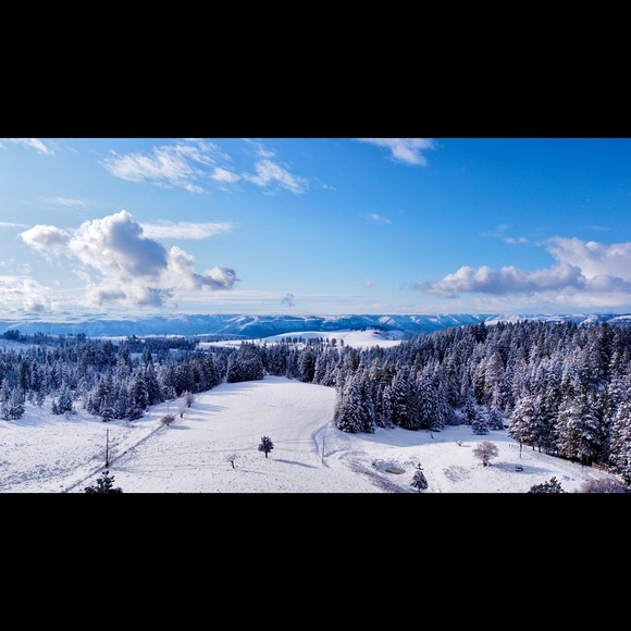 Meet your Posher, Phillip - Picture 7 of 8